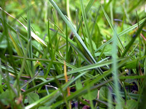 &copy; by Hilmar Boehle